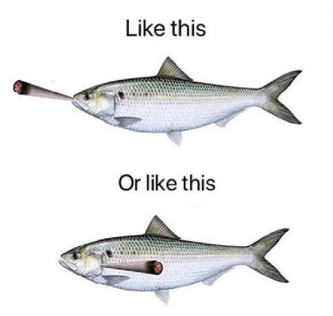 Like this 2) 33 vee Or like this