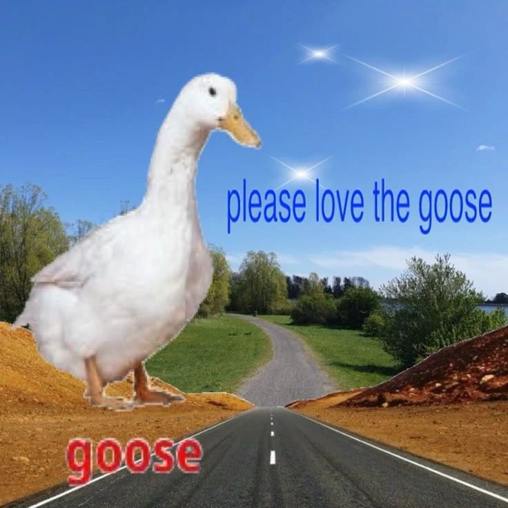 please love the goose