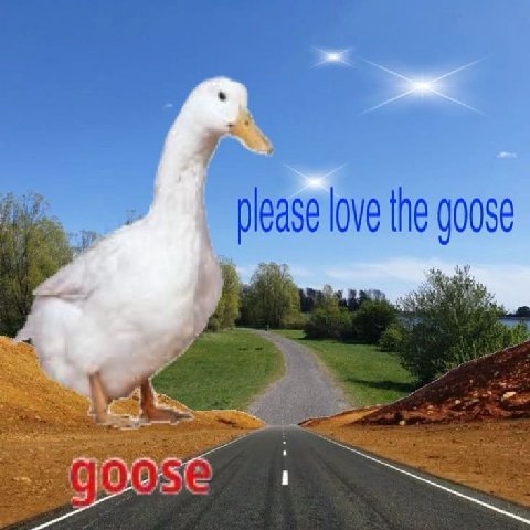 please love the goose