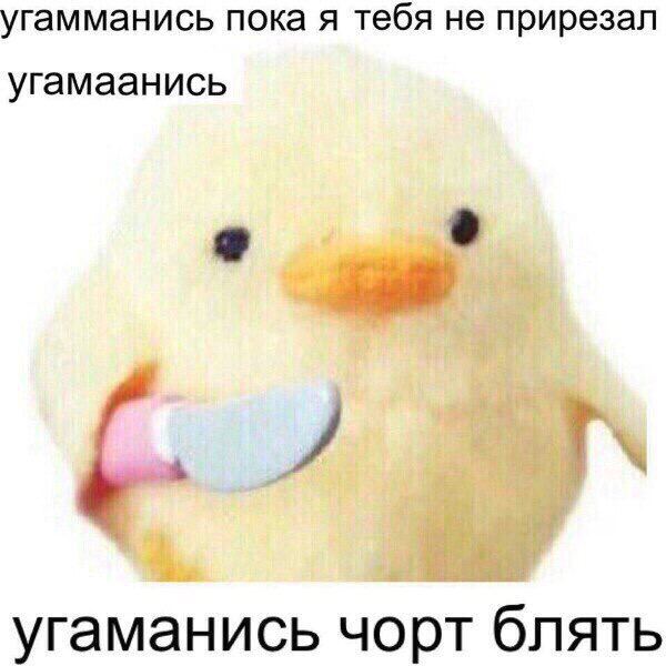 угамманись пока я тебя не прирезал угамаанись 4 угаманись чорт блять