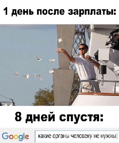 1 день после зарплаты: 3 8 дней спустя: Google какие органы человеку не нужны|