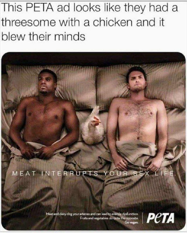This PETA looks like they had a threesome with a chicken and it blew their minds MEAT INTERRUPTS YOUR SEK LIFE РЕТА