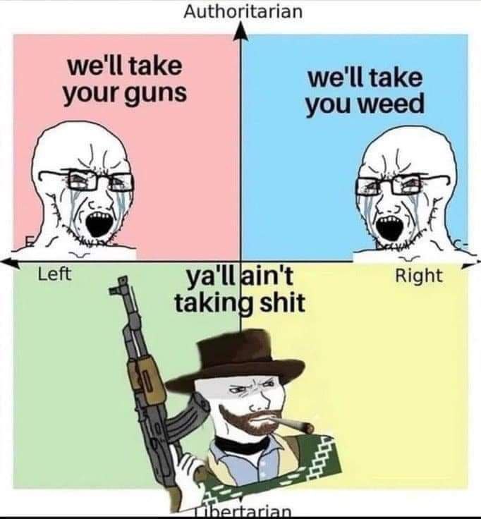 Authoritarian we'll take we'll take your guns you weed Left Right taking shit