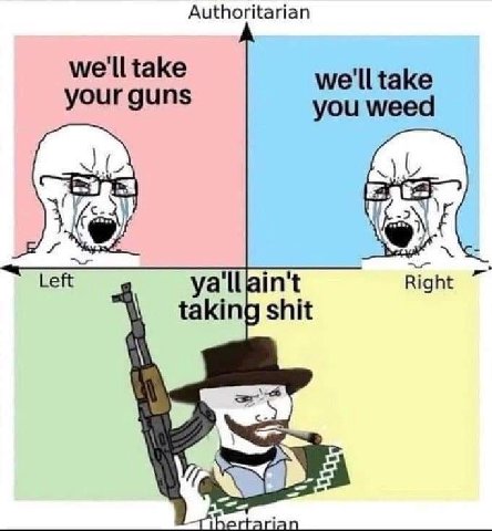 Authoritarian we'll take we'll take your guns you weed Left Right taking shit
