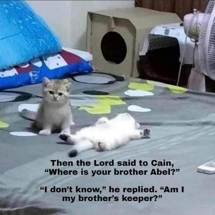 Then the Lord said to Cain, “Where is your brother Abel?” “1 don’t know,” he replied. I my brother’s keeper?”