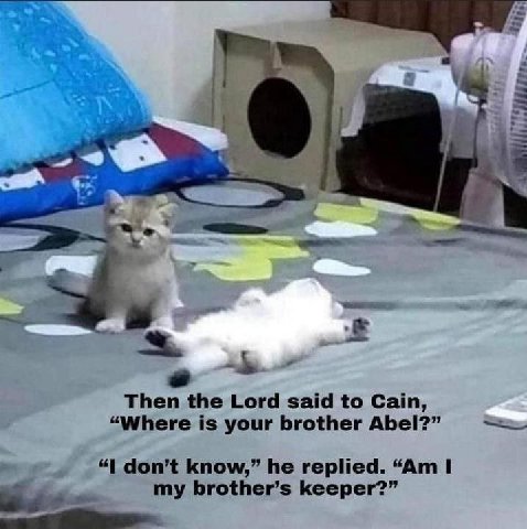 Then the Lord said to Cain, “Where is your brother Abel?” “1 don’t know,” he replied. I my brother’s keeper?”