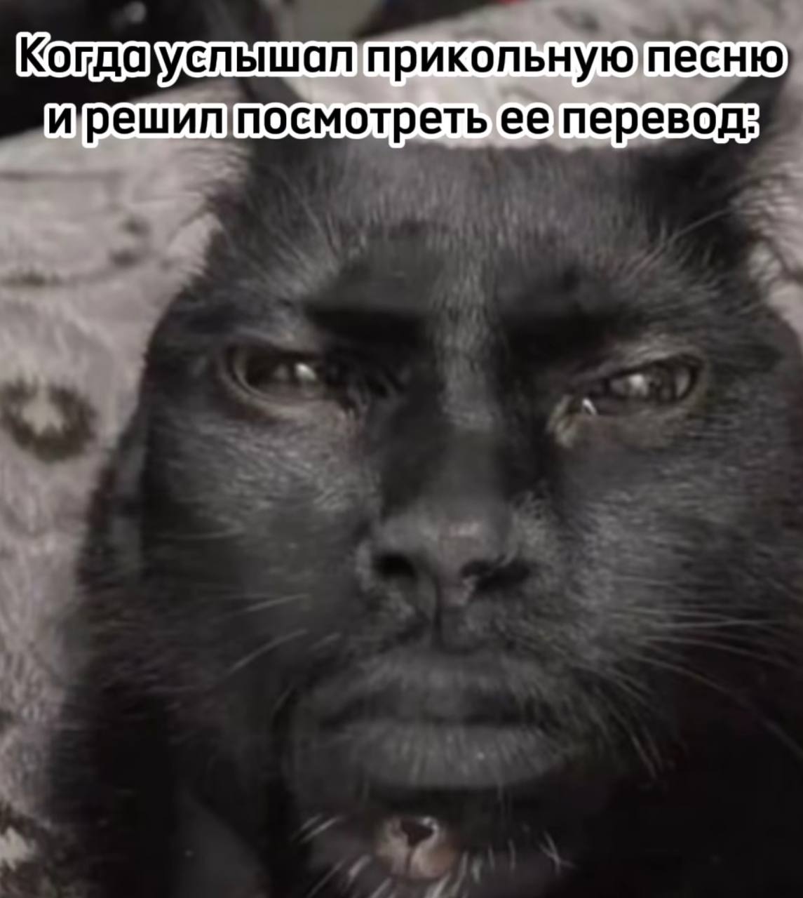 прикольную песню ирешиппосмотреть ее перевод: 3