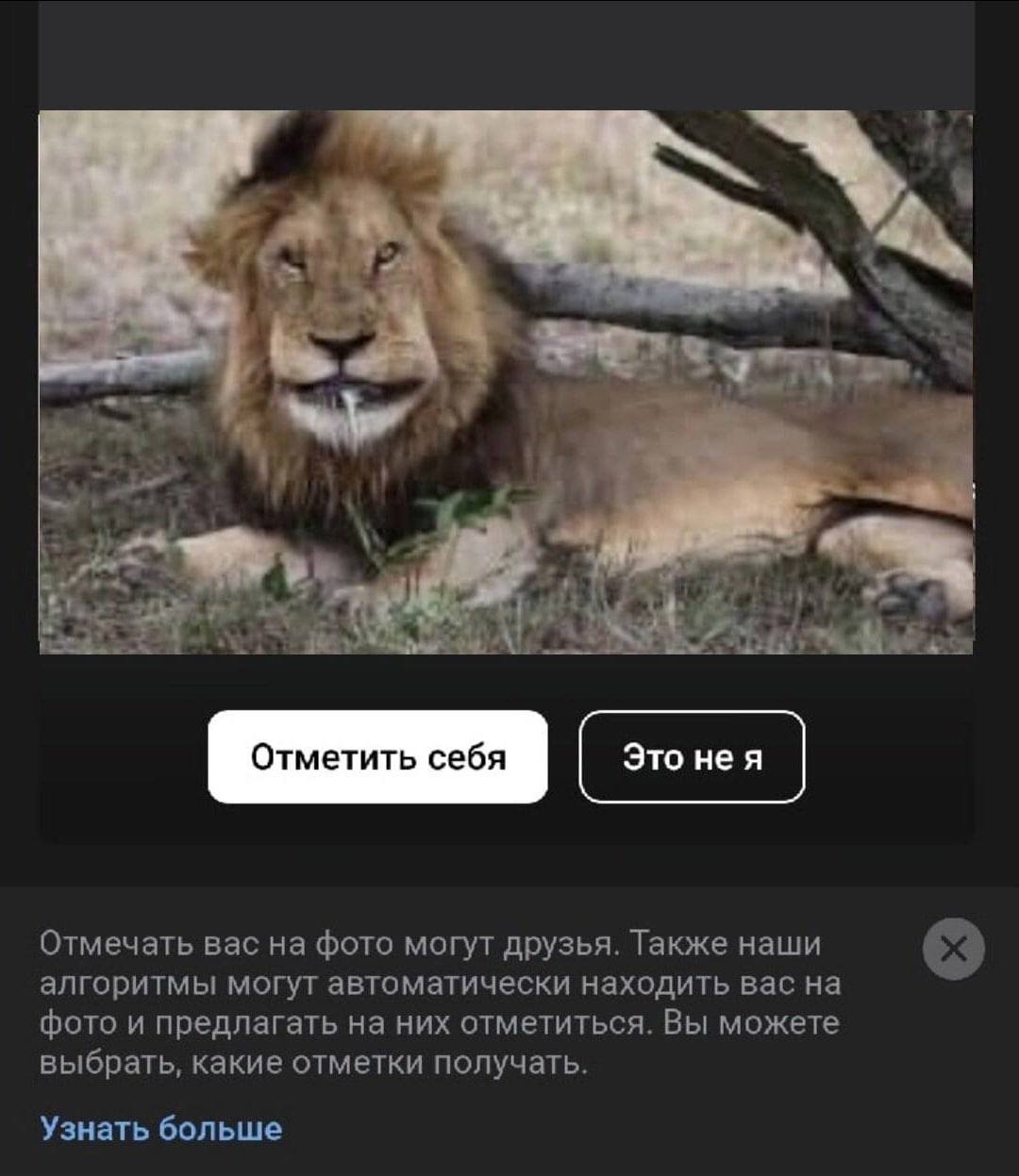 wes Отмечать вас на фото могут друзья. Также наши алгоритмы могут автоматически находить вас на фото и предлагать на них отметиться. Вы можете выбрать, какие отметки получать. Узнать больше