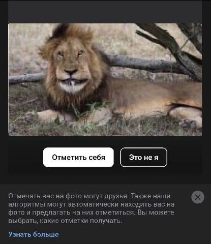 wes Отмечать вас на фото могут друзья. Также наши алгоритмы могут автоматически находить вас на фото и предлагать на них отметиться. Вы можете выбрать, какие отметки получать. Узнать больше