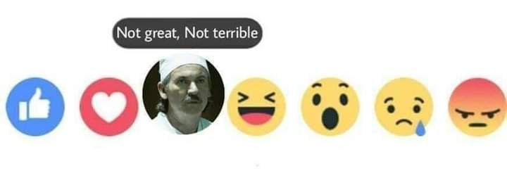 Not great, Not terrible an.