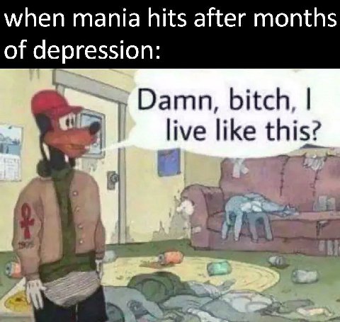 when mania hits after months of depression Damn, bitch, live like this? A