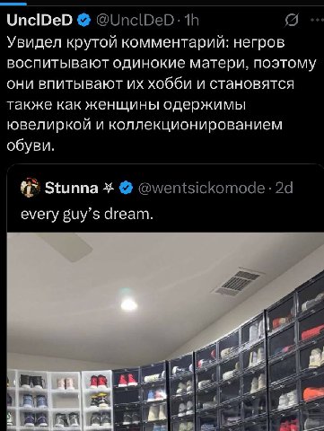 UnclDeD Увидел крутой комментарий: негров воспитывают одинокие матери, поэтому они впитывают хобби и становятся также как женщины одержимы ювелиркой и коллекционированием обуви. Stunna every dream.