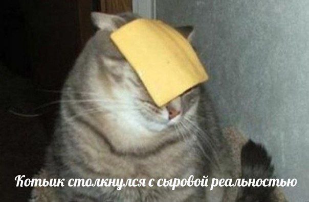 столкнулся с реальностью