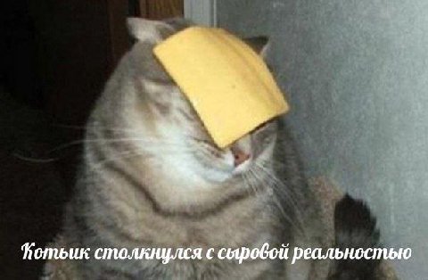 столкнулся с реальностью