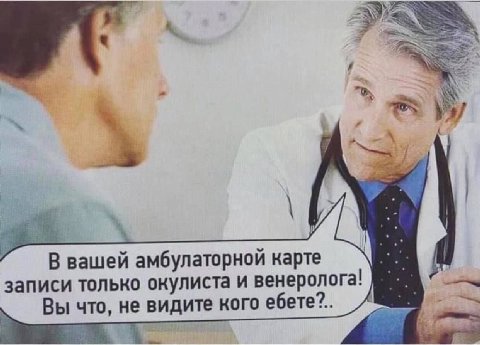 Собаку!