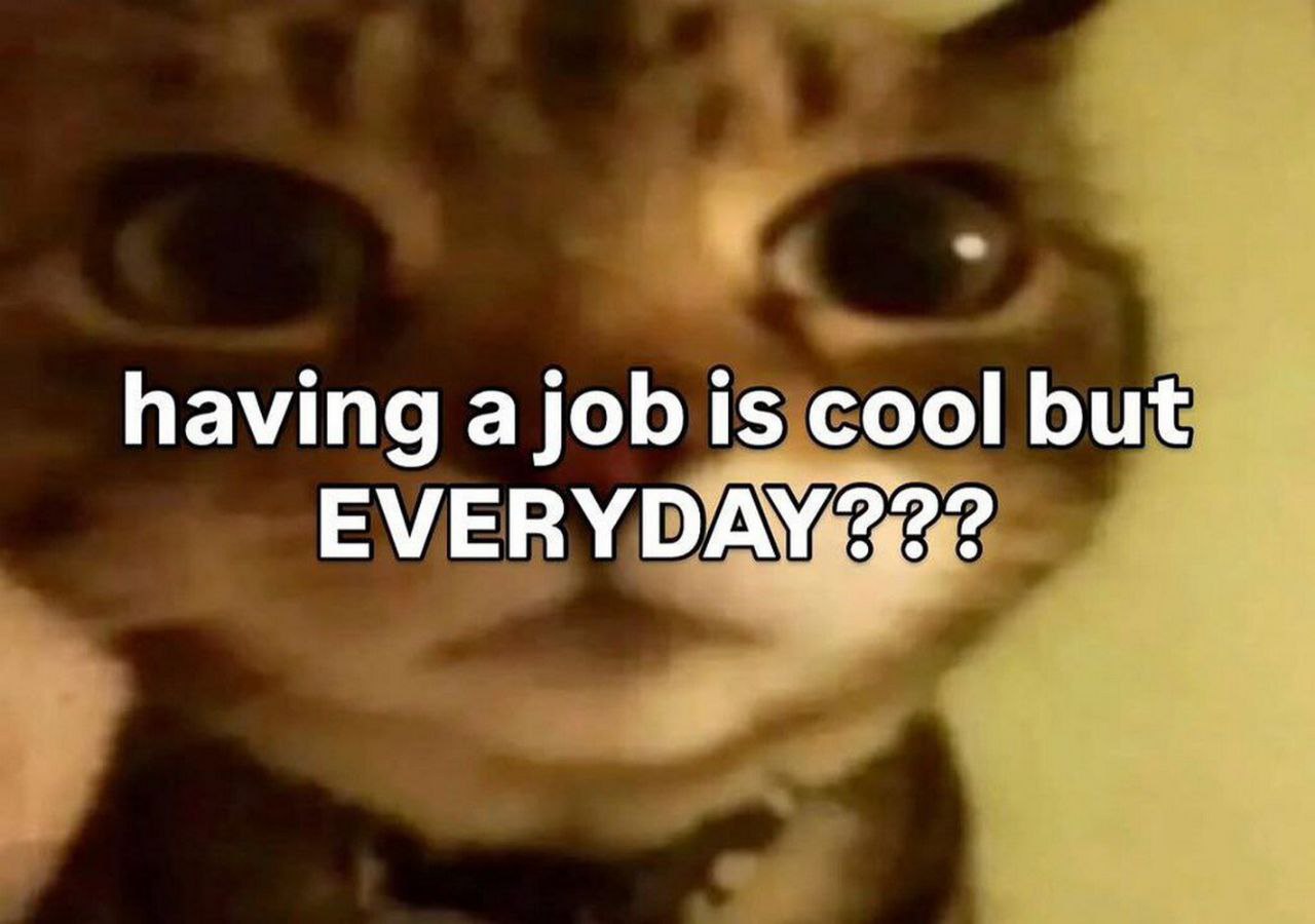 having is cool but