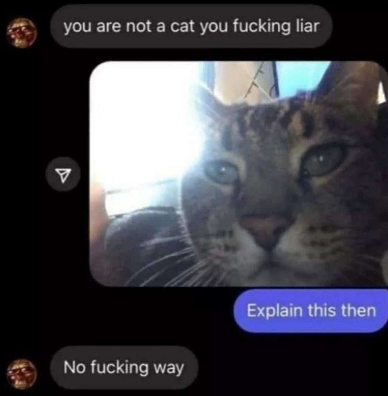 you are not а cat you fucking liar Explain this then No fucking way