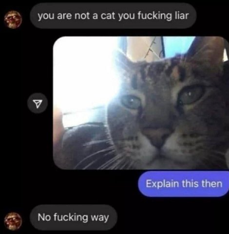 you are not а cat you fucking liar Explain this then No fucking way