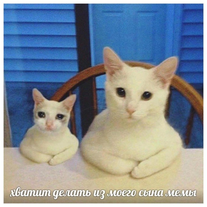 an fed хватит делать из моего мемы