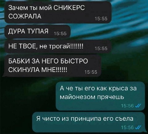 Зачем ты мой СНИКЕРС СОЖРАЛА 15:55 ДУРА ТУПАЯ НЕ ТВОЕ, не БАБКИ ЗА НЕГО БЫСТРО СКИНУЛА МНЕНИИ А че ты его как крыса за майонезом прячешь 15:56 Я чисто из принципа его съела 15:56