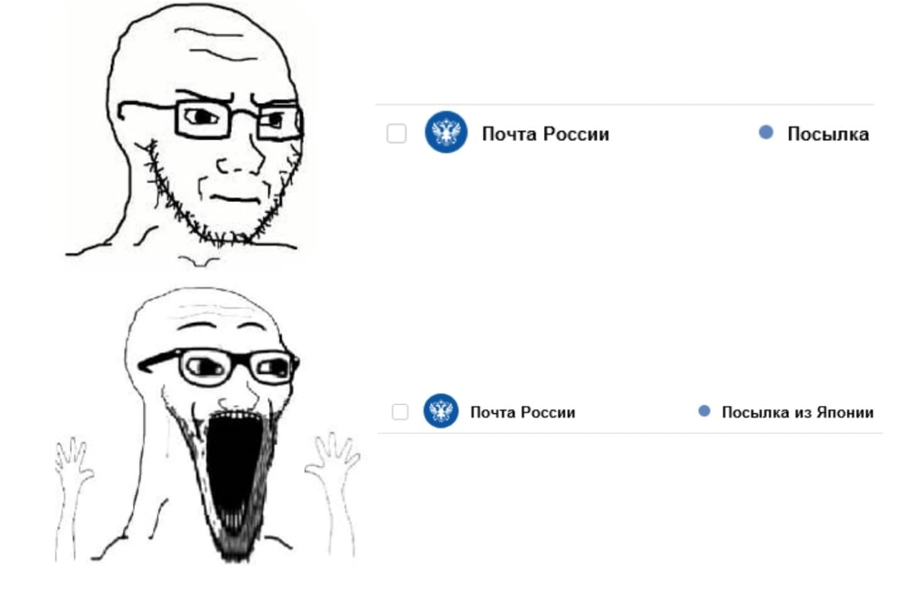 Почта России Посылка Почта России Посылка из Японии