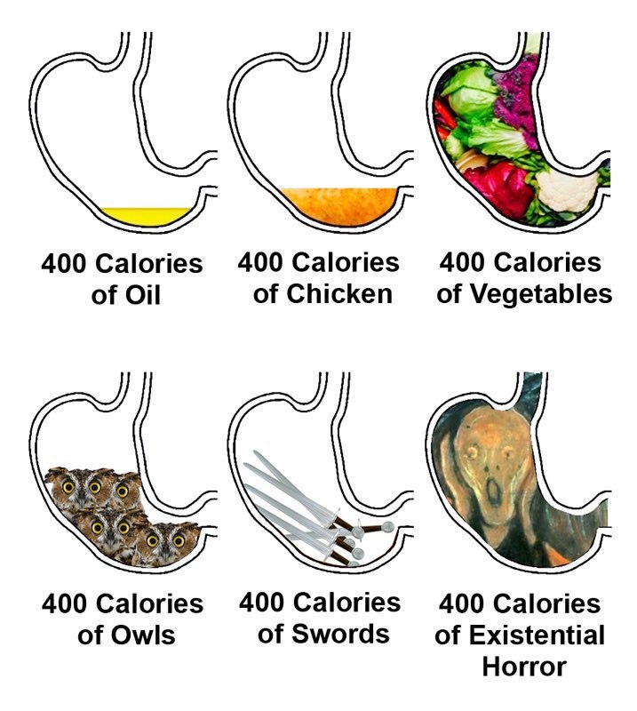 400 Calories 400Calories 400 Calories of Oil of Chicken of Vegetables у 400 Calories 400Calories 400 Calories of Owls of Swords of Existential Horror
