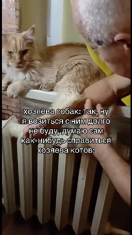 == хозяеваюобак: таку? м ся возиться сним долго небуду,думаюсам как- НИбУДЬ справитбся“ | у хозяева № > _небудуллумлаю Cam хозяева котов? ^ № хозяева'собак: такяну я № будуяуллаю) \