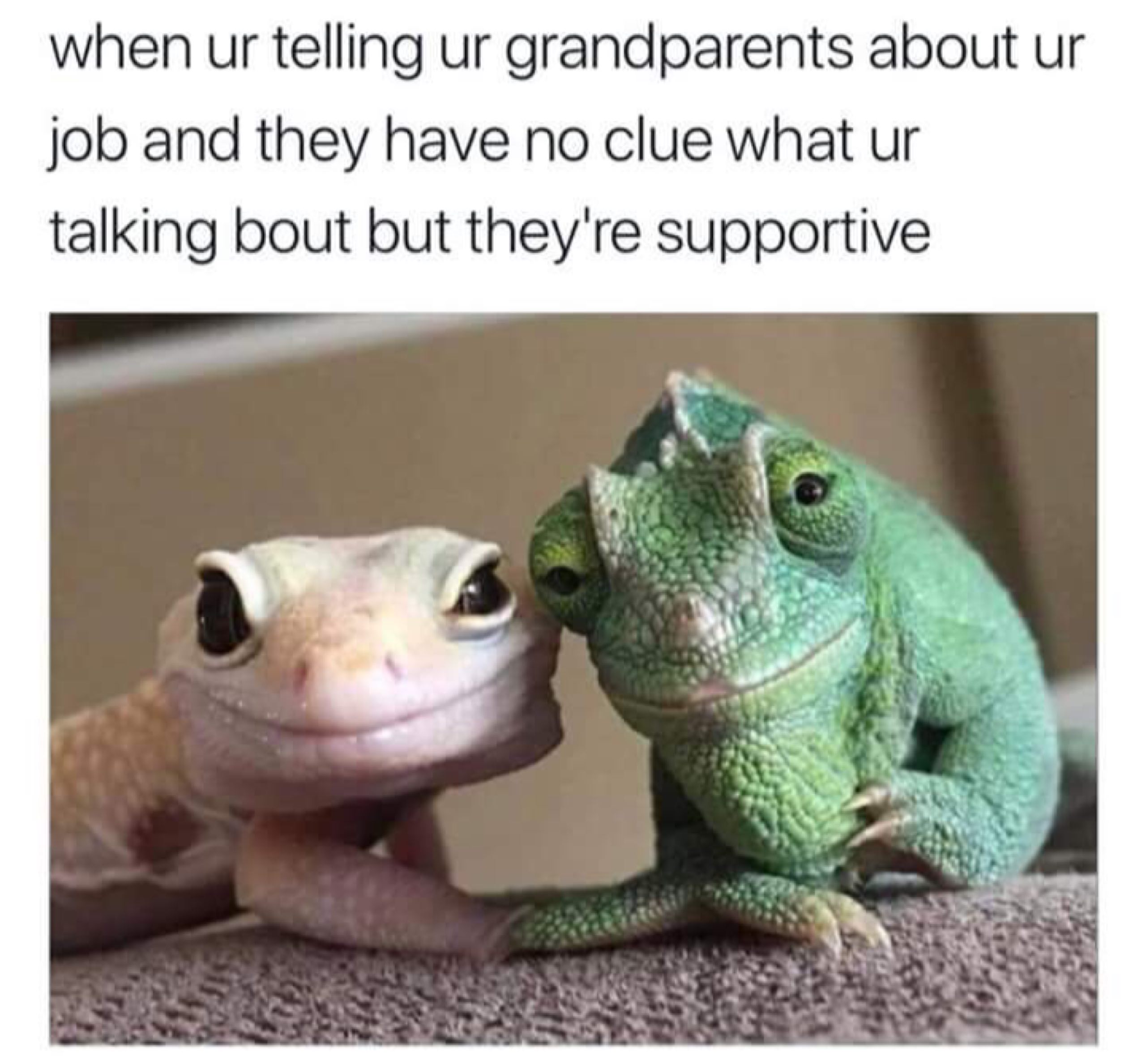 when telling grandparents about job and they have no clue what talking bout but they're supportive
