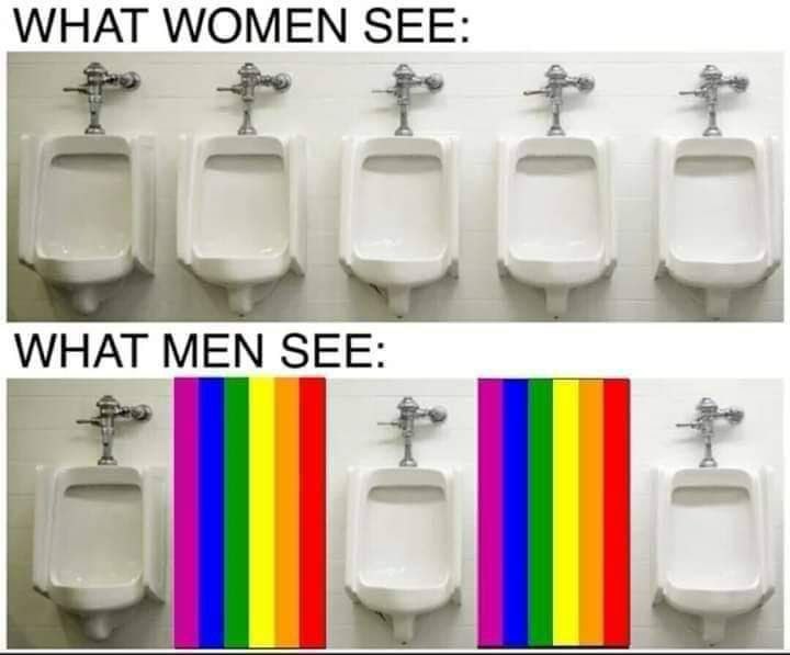 WHAT WOMEN WHAT MEN SEE:
