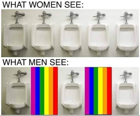 WHAT WOMEN WHAT MEN SEE: