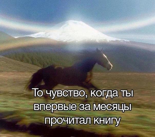 То чувство, когда ты впервые за месяцы прочитал книгу