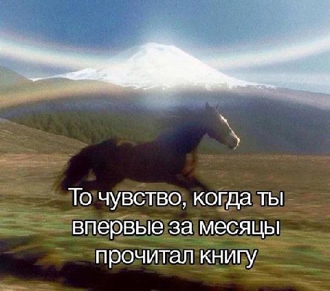 То чувство, когда ты впервые за месяцы прочитал книгу