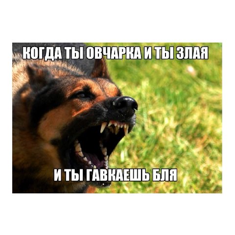 ИТЬ a 4 ГАВКАЕШЬ БЛЯ