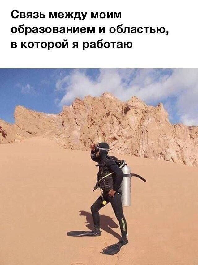 Связь между моим образованием и областью, в которой я работаю у