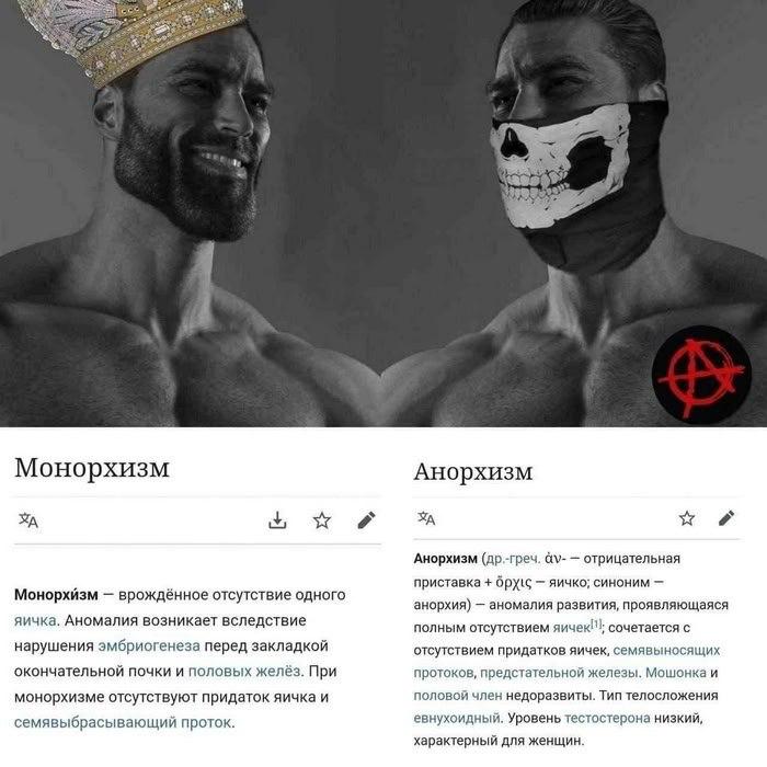 Монорхизм Анорхизм ж Анорхизм (др.-греч. отрицательная приставка яичко; синоним Монорхйзм врождённое отсутствие одного анорхия) аномалия развития, проявляющаяся яичка. Аномалия возникает вследствие по