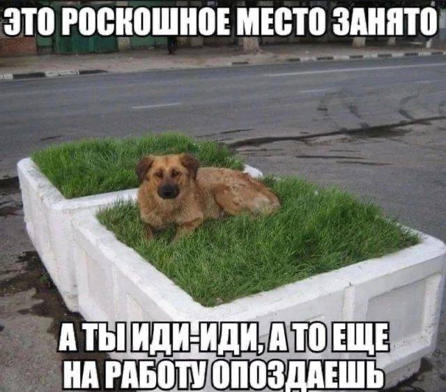 ЭТО РОСКОШНОЕ МЕСТО ЗАНЯТО A А TO НА РАБОТУ ОПОЗДАЕШЬ