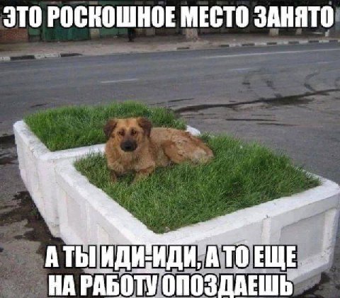 ЭТО РОСКОШНОЕ МЕСТО ЗАНЯТО A А TO НА РАБОТУ ОПОЗДАЕШЬ