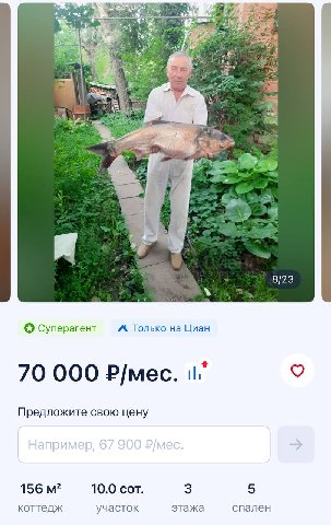 on A 8/23 Суперагент Только на Циан 70 000 Р/мес. Предложите свою цену 156 10.0 сот. 3 5 коттедж участок этажа спален