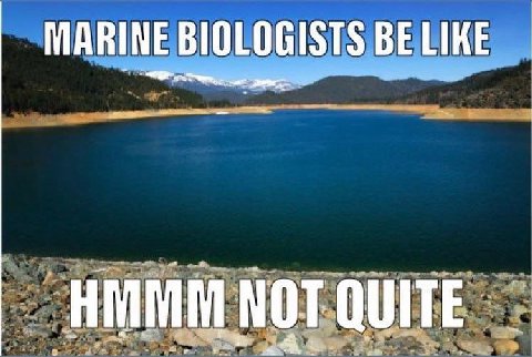MARINE BIOLOGISTS BE LIKE NOT