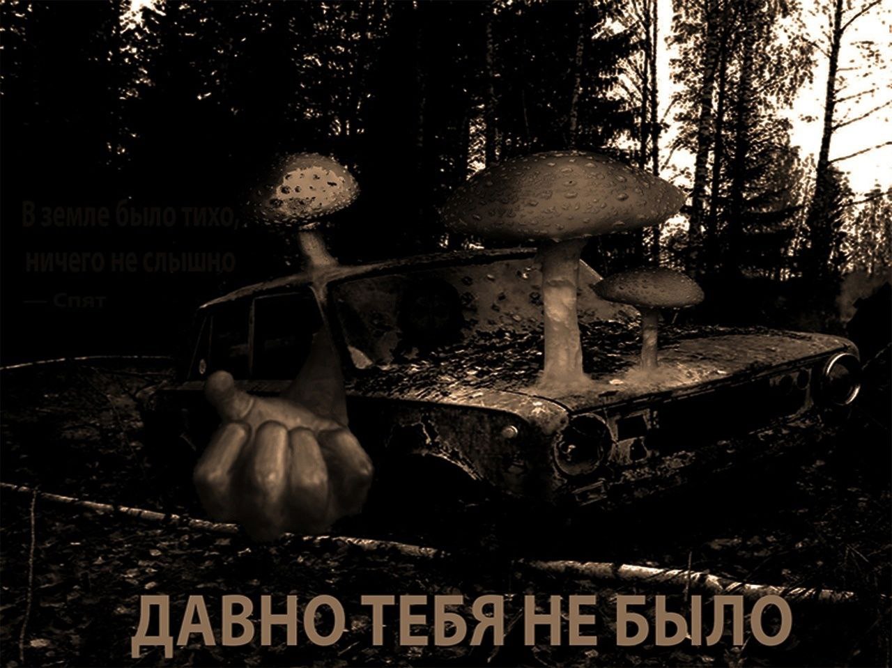 Toe 4 2 8 2 74 в у ДАВНОЛЕБЯ НЕБЫЛО