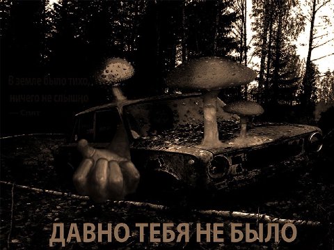 Toe 4 2 8 2 74 в у ДАВНОЛЕБЯ НЕБЫЛО
