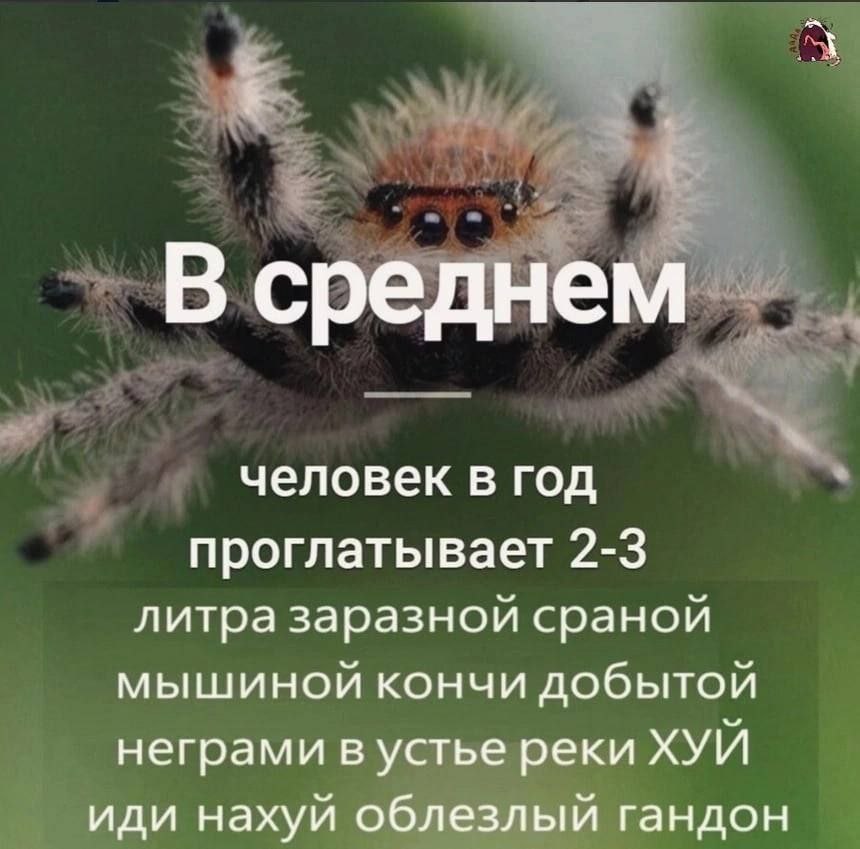 В среднем человек в год проглатывает 2-3 литра заразной сраной мышиной кончи добытой неграми в устье реки ХУЙ иди нахуй облезлый гандон