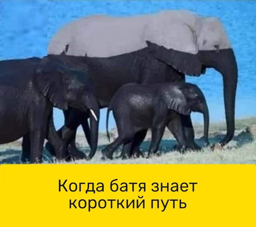 Когда батя знает короткий путь