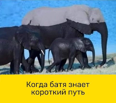 Когда батя знает короткий путь