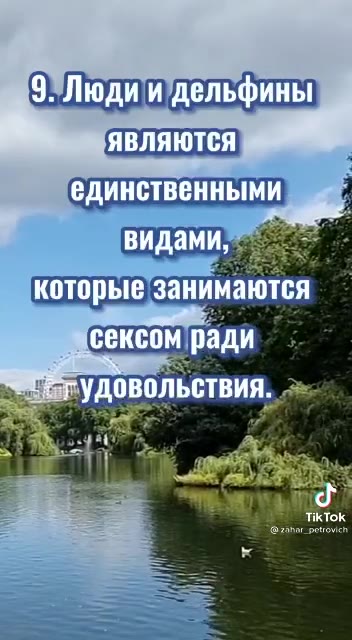 > 1. Оргазм У свиньи a (30 | минут Нифигасе- : __ Жочу быть свиньёй i в следующей жизни!) = 7. Глаза у страуса aennmn питер E 9ЭЛюдии дельфины ЯВЛЯЮТСЯ. ‘единственными Я которые занимаются (сексом'рад