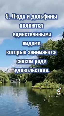 > 1. Оргазм У свиньи a (30 | минут Нифигасе- : __ Жочу быть свиньёй i в следующей жизни!) = 7. Глаза у страуса aennmn питер E 9ЭЛюдии дельфины ЯВЛЯЮТСЯ. ‘единственными Я которые занимаются (сексом'рад