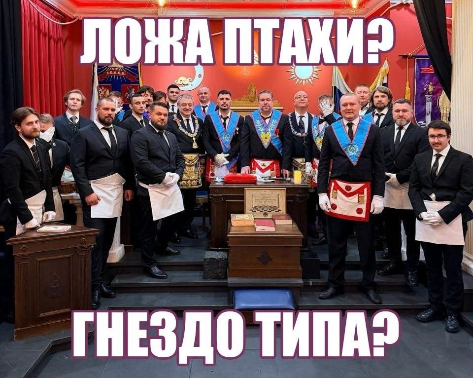 ЛОЖА ПТАХИ 9 ГНЕЗДО ТИПА?