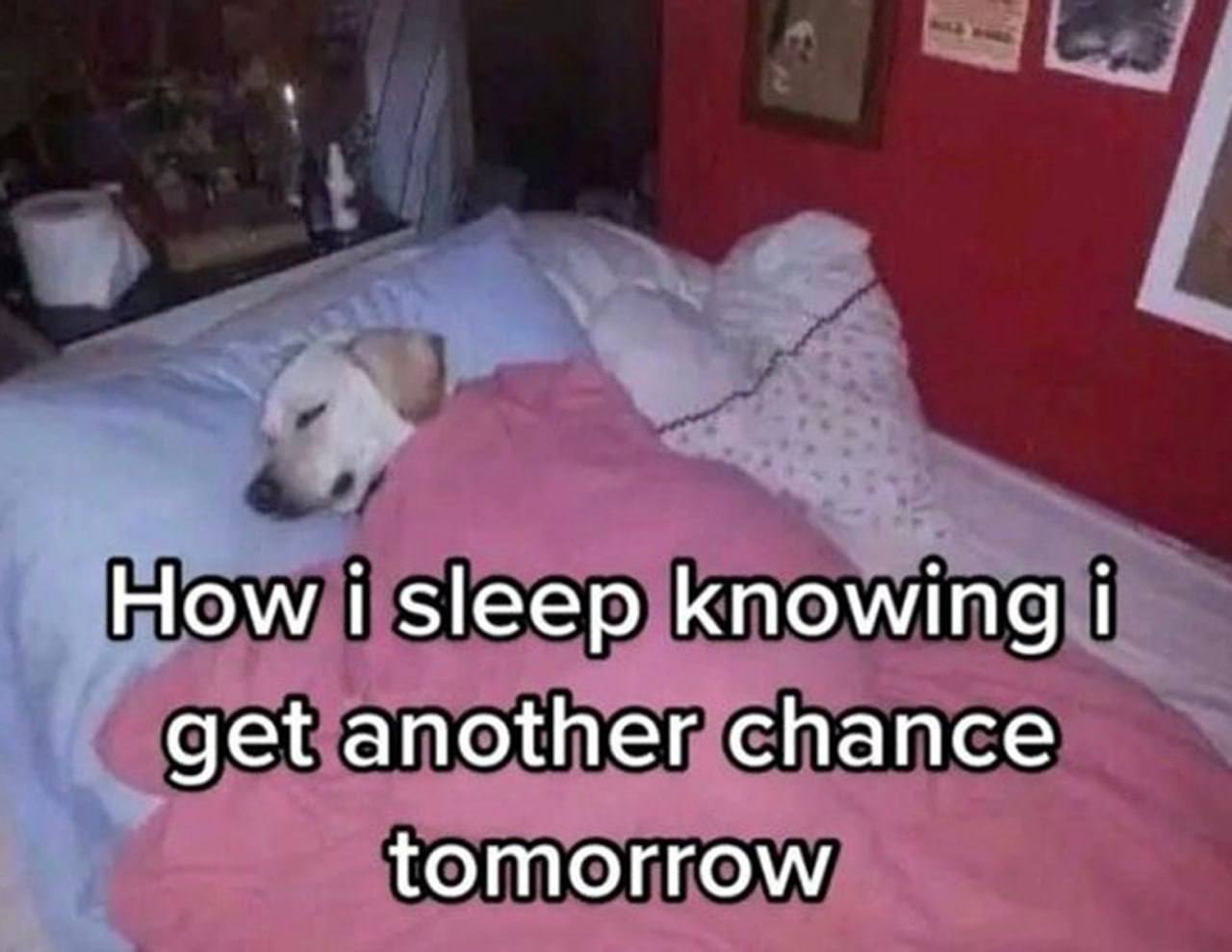 How sleep knowing get another chance tomorrow
