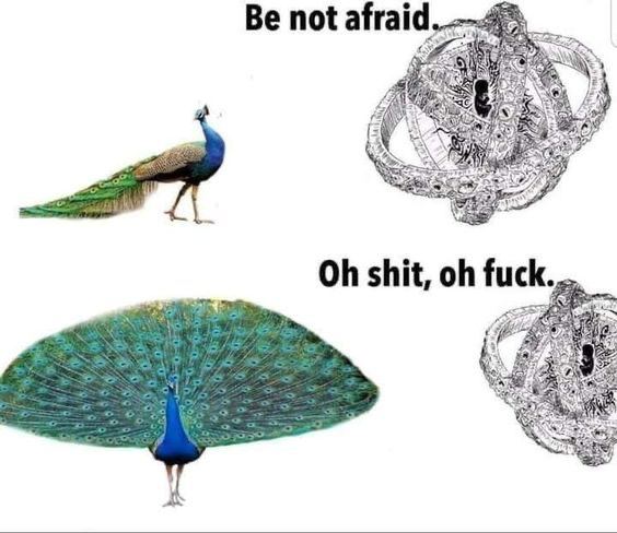 Be not atraid 2 shit, fuck.