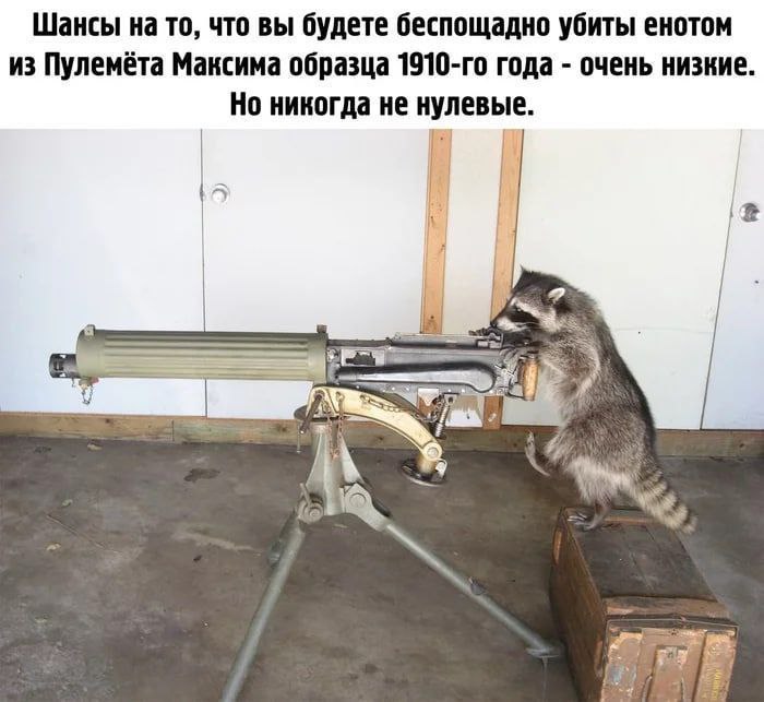 Шансы на то, что вы будете беспощадно убиты енотом из Пулемёта Максима образца года очень низкие. Но никогда не нулевые. +5 и Lag А